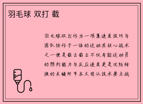 羽毛球 双打 截